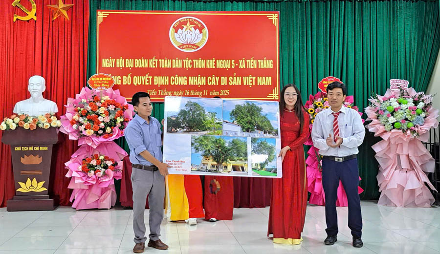 Ba[-]cây[-]Bồ[-]đề[-]ở[-]thôn[-]Khê[-]Ngoại[-]5[-]được[-]công[-]nhận[-]là[-]Cây[-]Di[-]sản[-]Việt[-]Nam